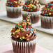 A chocolate cupcake with colorful Bold Confetti Sequin Sprinkles on top.