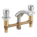 A Chicago Faucets metering faucet with two handles and two valves on a white background.