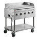 A Backyard Pro stainless steel outdoor grill with griddle on a cart.