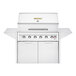 A stainless steel Crown Verity natural gas cart grill with two burners, drawers, and doors.