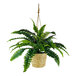 An artificial Boston fern in a hanging basket with a rope.