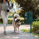 A woman walking a dog on a leash near a Flash Furniture green compact pet waste station with rectangular lidded trash can.