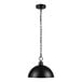 A Globe black metal pendant light with a chain.