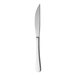 A RAK Youngstown stainless steel steak knife with a long silver handle.