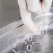 A person in white gloves touching a Vollrath clear polycarbonate food pan drain tray.