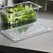 A Carlisle clear plastic lid on a container of lettuce and greens.