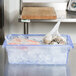 A Carlisle blue plastic food storage container filled with ice and fish.