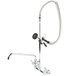 An Equip by T&S chrome pre-rinse faucet with a hose.