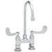 A T&S chrome deck-mount double pantry faucet with two gooseneck spouts and two handles on a white background.