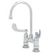 A T&S chrome deck-mounted faucet with gooseneck nozzle and wrist handles.