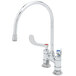 A T&S chrome deck-mounted faucet with wrist handles and a gooseneck nozzle.