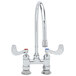 A chrome T&S deck-mounted faucet with wrist handles and a gooseneck nozzle.