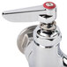 A T&S polished chrome service sink faucet with red handles and a red cap on the knob.