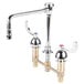 A chrome T&S deck-mount faucet with gooseneck and two wrist action handles.