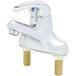 A T&S silver single lever faucet with gold screws.