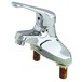 A chrome T&S single lever faucet with long handle.
