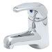 A chrome T&S single lever faucet with supply hoses.