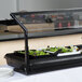 A Carlisle black adjustable single sneeze guard on a buffet table with salad and other food on it.