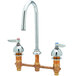 A chrome T&S deck-mount faucet with two brass Eterna cartridges and two gooseneck handles.