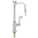 A chrome T&S laboratory faucet with a spout and white wrist action handle.