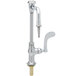 A silver T&S single temperature lab faucet with a serrated tip lever.
