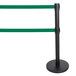 A black pole with green retractable belts.