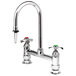 A chrome T&S deck mount laboratory faucet with 4 arm handles.