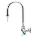 A silver T&S lab faucet with a green screw.