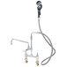 A T&amp;S deck mount pet grooming faucet with a hose and hand sprayer.