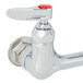 A T&S chrome pet grooming faucet with red handles and button.