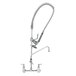 A T&S chrome wall mount pet grooming faucet with a hose.