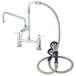 A T&S deck mount pet grooming faucet with hose and sprayer.