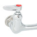 A T&S chrome wall mount pet grooming faucet with a red handle and button.