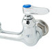 A T&S chrome pet grooming faucet with blue handles.
