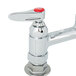 A chrome T&S pet grooming faucet with red buttons.