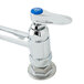 A chrome T&S pet grooming faucet with blue handles.