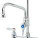 A chrome deck mount pet grooming faucet with blue and red handles.