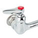 A T&S chrome pet grooming faucet with a red side button.