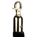 A black metal stanchion rope with brass ends.