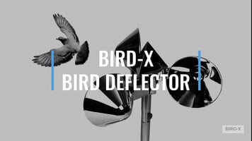 Bird-X Bird Deflector 