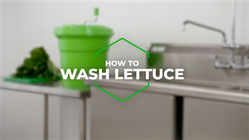 How to Wash Lettuce 