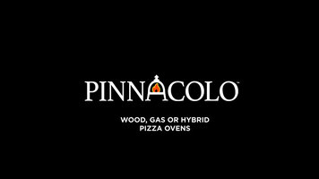 Pinnacolo Premio Wood Fired Pizza Oven Overview