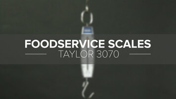 Taylor 3070 Industrial Hanging Spring Scale