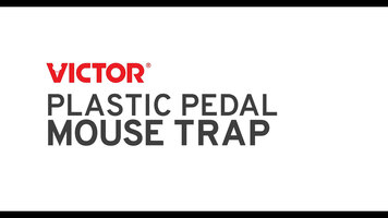 How to Set the Victor® Plastic Pedal Mouse Trap