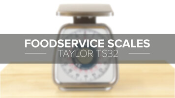 Taylor TS32 Mechanical Portion Scale