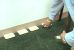 Overview of JT Eaton's 133N Stick-Em Mouse Glue Traps