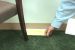 Overview of JT Eaton's 155N Stick-Em Rat Glue Traps