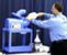 Gold Medal Ice