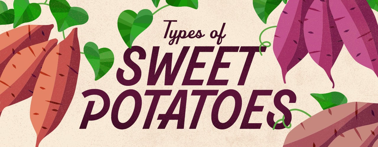 Different Types of Sweet Potatoes