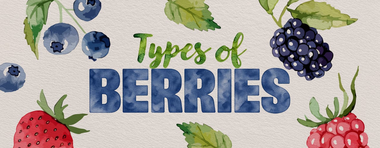 Types of Berries